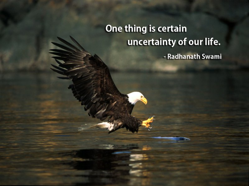 Radhanath Swami on Life