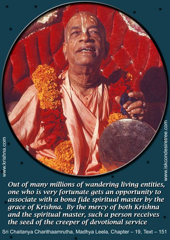 Quotes by Srila Prabhupada on A Fortunate Living Entity