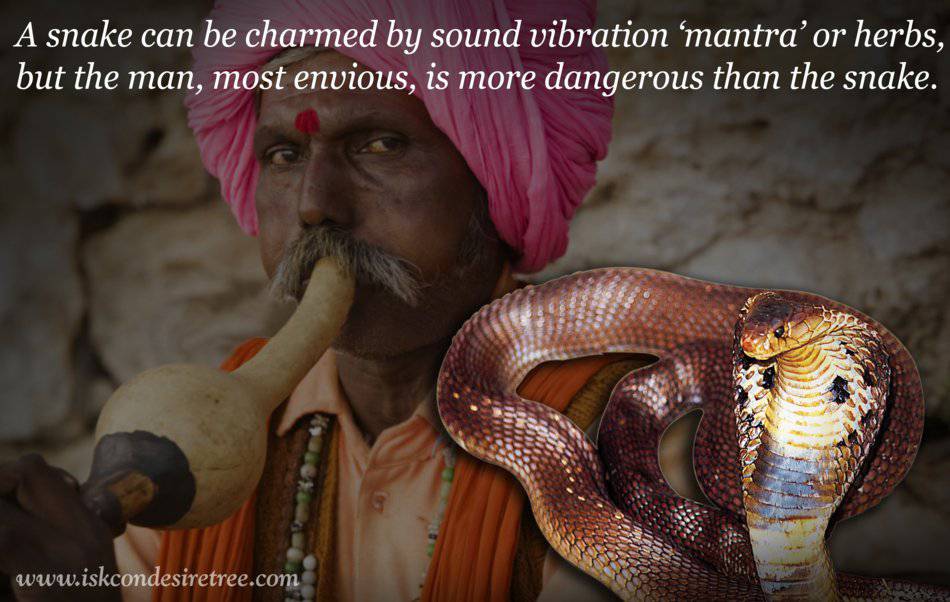 Quotes by Srila Prabhupada on One Who is More Dangerous Than A Snake
