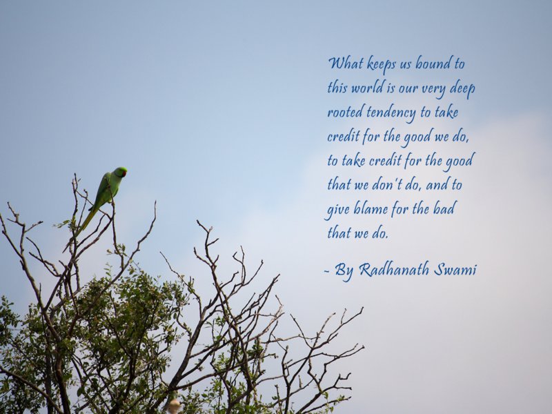 Radhanath Swami on Deep Rooted Tendency