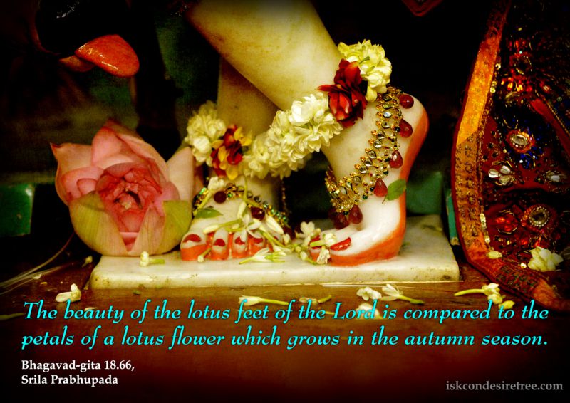 Srila Prabhupada on Beauty of The Lotus Feet of The Lord