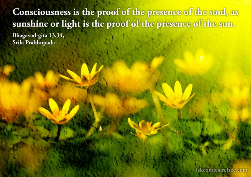 Srila Prabhupada on Proof of The Presence of The Soul