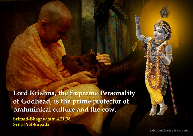 Srila Prabhupada on Lord Krishna - Prime Protector