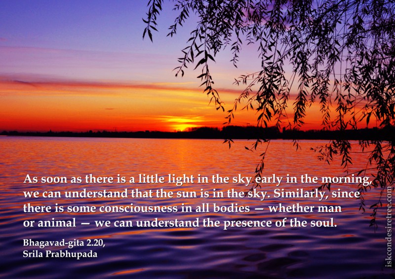 Srila Prabhupada on Presence of The Soul