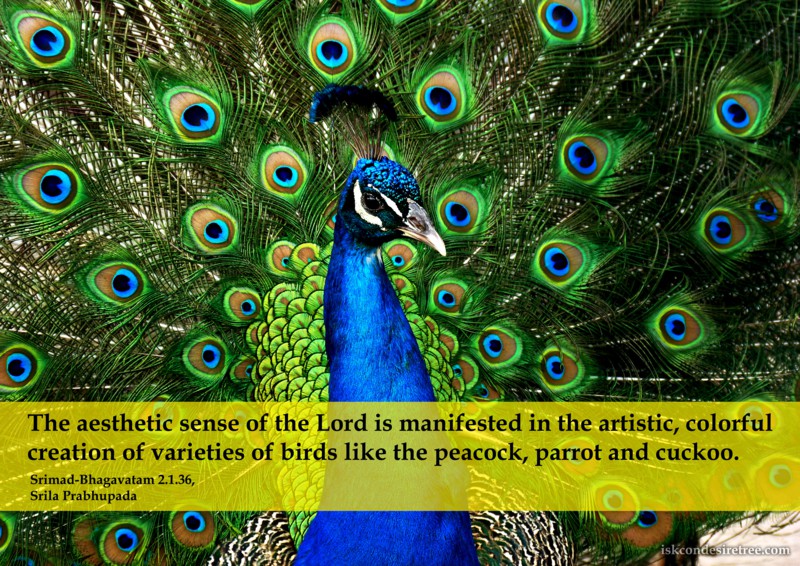 Srila Prabhupada on Aesthetic Sense of The Lord