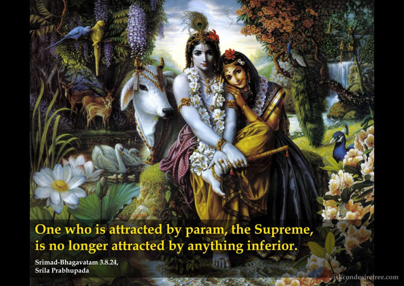 Srila Prabhupada on Being Attracted By The Supreme