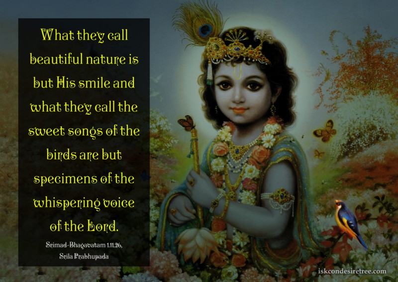Srila Prabhupada on Greatness of The lord