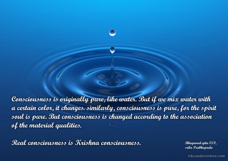 Srila Prabhupada on Consciousness