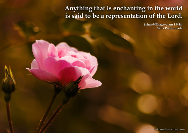 Srila Prabhupada on Enchanting Things In This World