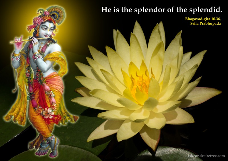 Srila Prabhupada on Supreme Lord's Opulence