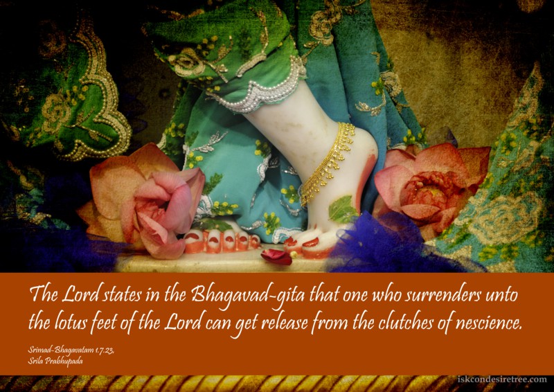 Srila Prabhupada on Surrendering Unto The Lord's Lotus Feet