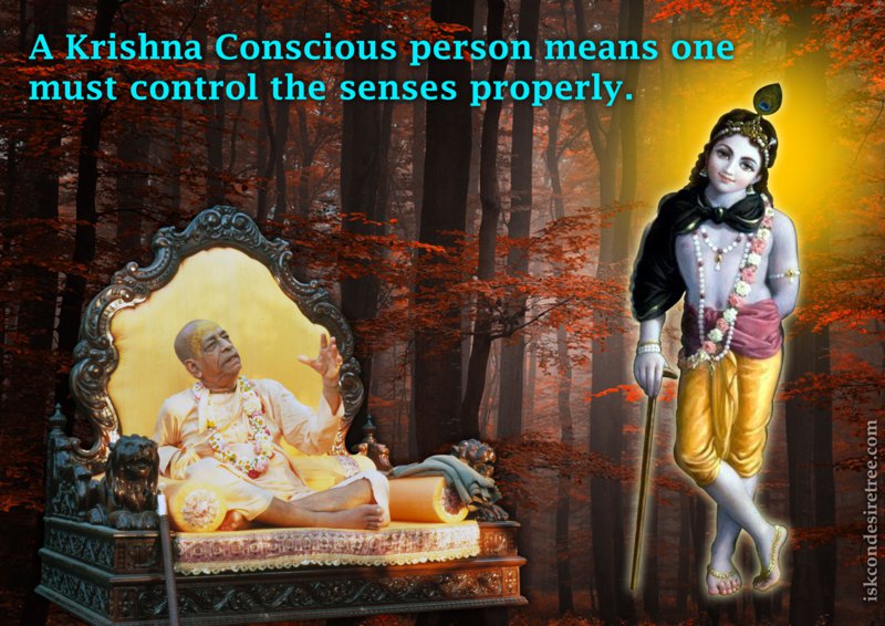 Bhakti Swarup Damodar Swami on Krishna Conscious Person