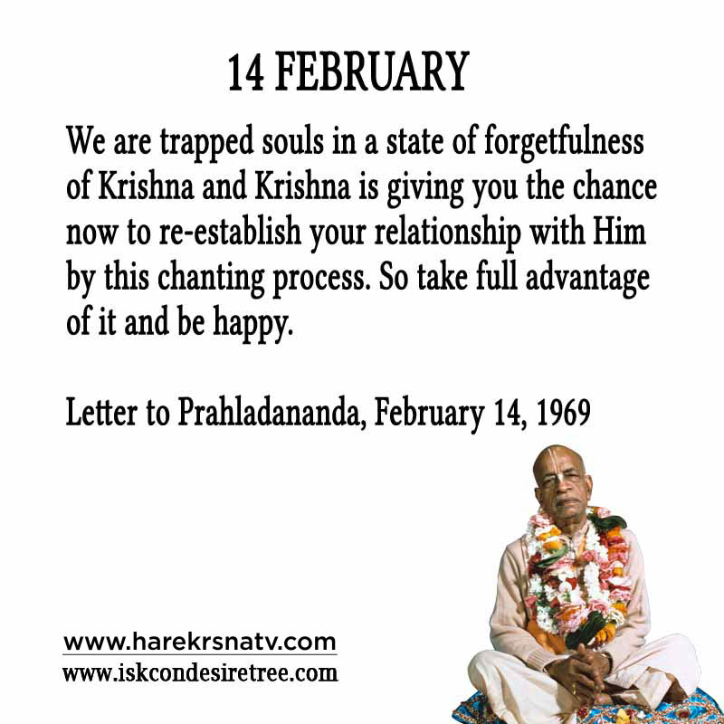 Prabhupada Quotes For The Month of February 14