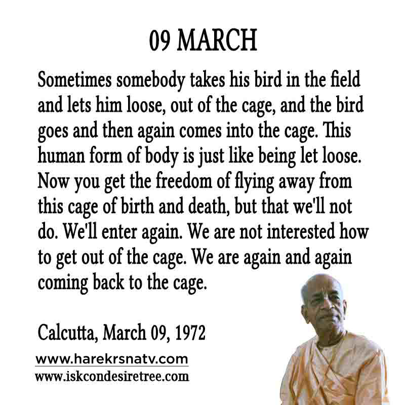 Prabhupada Quotes For The Month of March 9