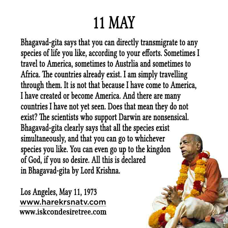 Prabhupada Quotes For The Month of 11 May