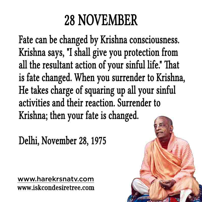 Prabhupada Quotes For The Month of November 28